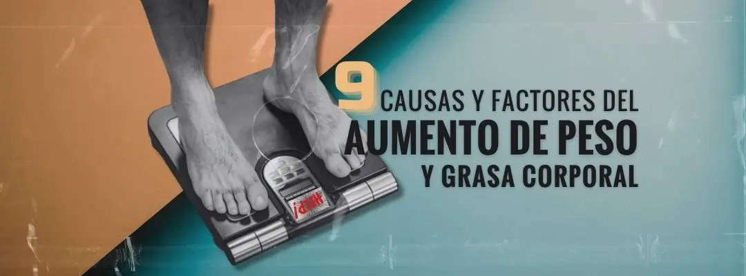 causas del aumento de grasa