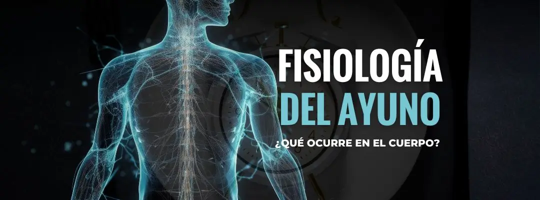 ayuno intermitente; fisiología del ayuno