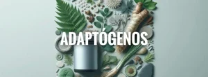 adaptógenos