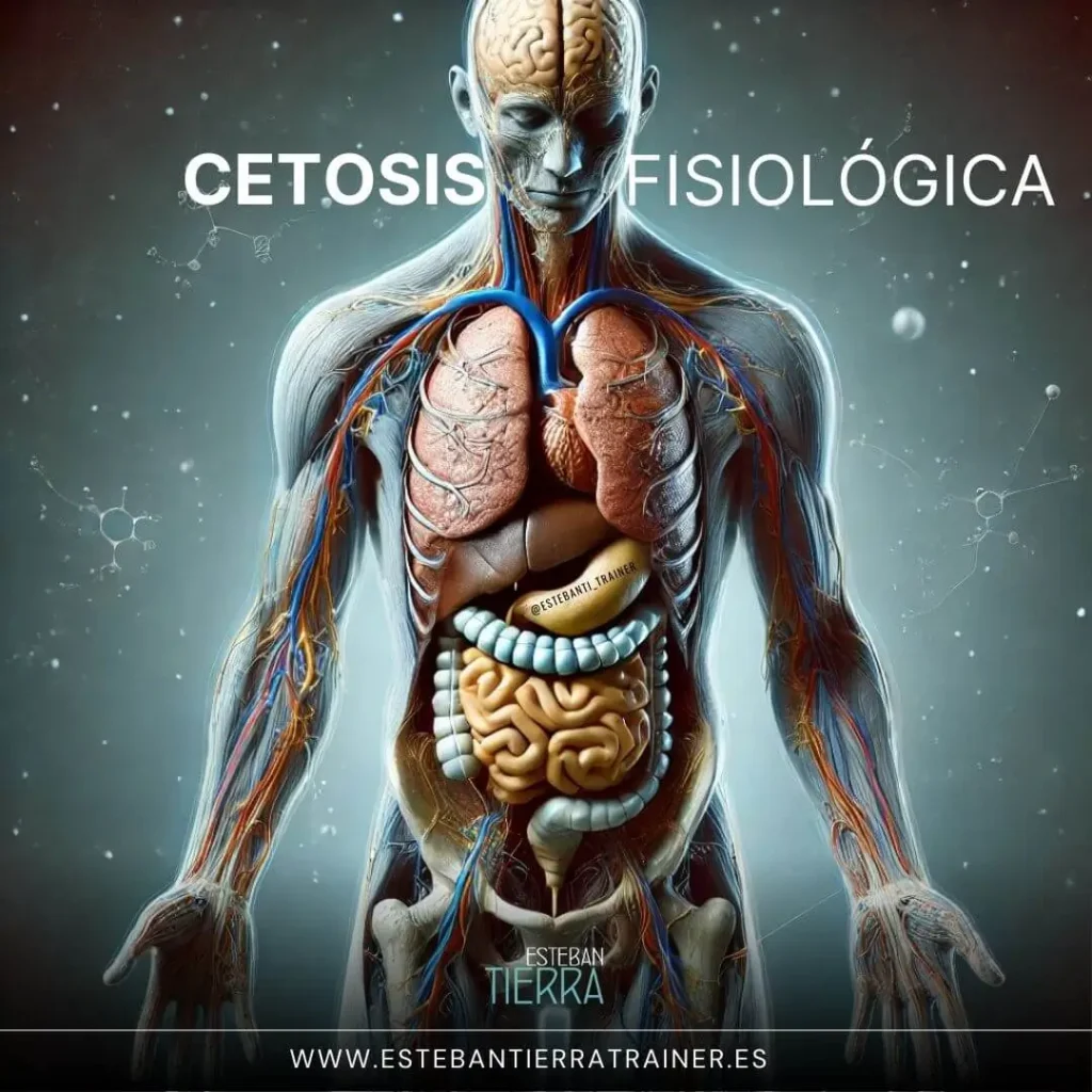 cetosis fisiológica; cetonas; cuerpos cetónicos; fisiología de la cetosis; dieta cetogénica