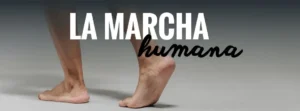 ciclo de la marcha; la marcha humana