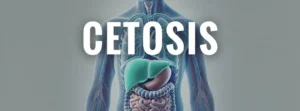 cetosis
