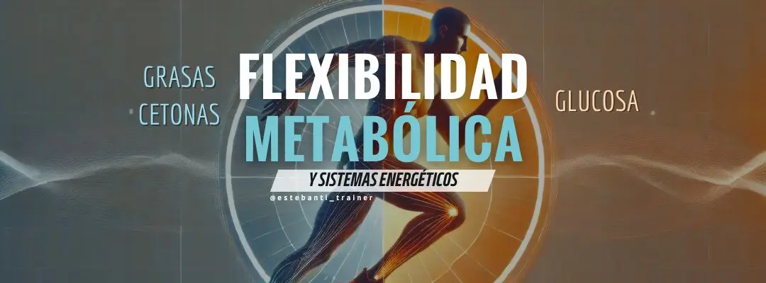 Lee más sobre el artículo Flexibilidad metabólica y sistemas energéticos