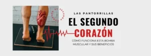 segundo corazón, pantorrillas