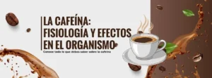 cafeína, efectos de la cafeína, fisiología de la cafeína, cafeína y entrenamiento