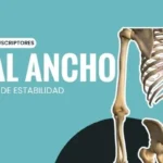 Dorsal ancho como estrategia de estabilidad