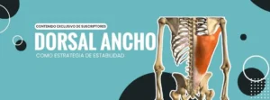 dorsal ancho en el ejercicio