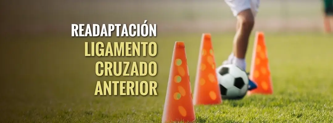 Readaptación de ligamento cruzado anterior